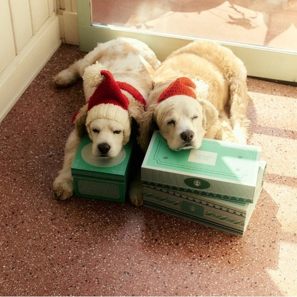 Flamingo Estate Dog toys 4 set Set Limited Edition - Picture 3 of 8